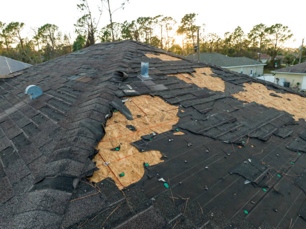 Best Roof Maintenance and Cleaning  in Brookhaven, GA